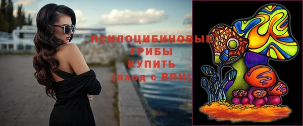 шишки Алексеевка