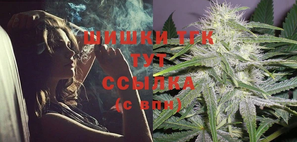 шишки Алексеевка