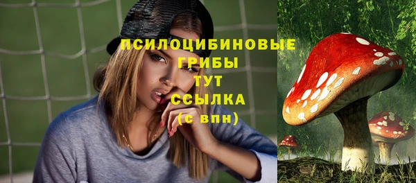 винт Алексин