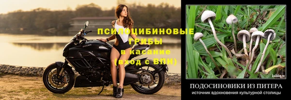 винт Алексин