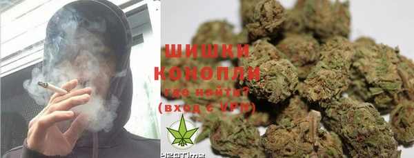 шишки Алексеевка
