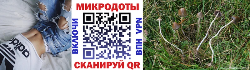 Галлюциногенные грибы мицелий  как найти закладки  мега ТОР  Бронницы 